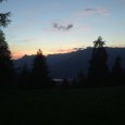 Troisième et dernière partie des photos d&rsquo;été.      Merci à Fourmi à Plumes pour ces belles photos. Vous pouvez découvrir les autres parties ici et là.