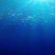 L&rsquo;océan abritait il y a des millions d&rsquo;années des espèces bien plus grandes que les requins. Si les reptiles marins ne sont pas considérés comme des dinosaures, ils vivaient à [&hellip;]