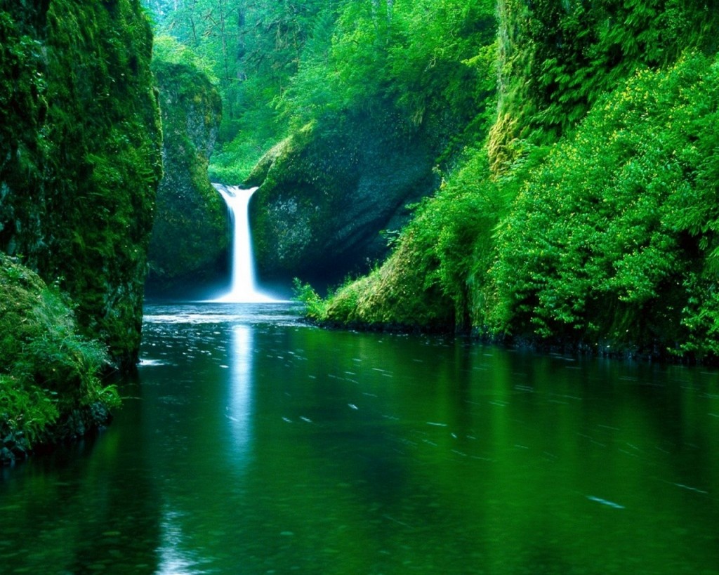 3443-petite-cascade-nature-luxuriante-WallFizz