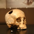 Peindre des crânes n&rsquo;a rien de compliqué en soi, mais bon nombre de joueurs, faute d&rsquo;avoir été initiés aux dégradés, ont du mal à traiter ces petites surfaces qui donnent [&hellip;]
