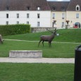 C&rsquo;est au Château de Gilly, en Côte d&rsquo;Or, que se déroule actuellement une exposition de figurines animalières. Neuf sculpteurs y présentent des œuvres réalistes comme contemporaines. Gilly les Cîteaux est [&hellip;]