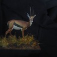 Je peut enfin poster les photos finales de la gazelle dont j&rsquo;ai refait le socle et retouché quelques ombres. La figurine devait à la base aller sur le même socle [&hellip;]