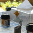 Bienvenue dans mon atelier, grand bonhomme. Pas la peine d&rsquo;essuyer tes pieds avant d&rsquo;entrer, ici c&rsquo;est le bazar. Peintures, sculptures, chroniques, reportages, j&rsquo;étale tout ce que je fait au monde [&hellip;]