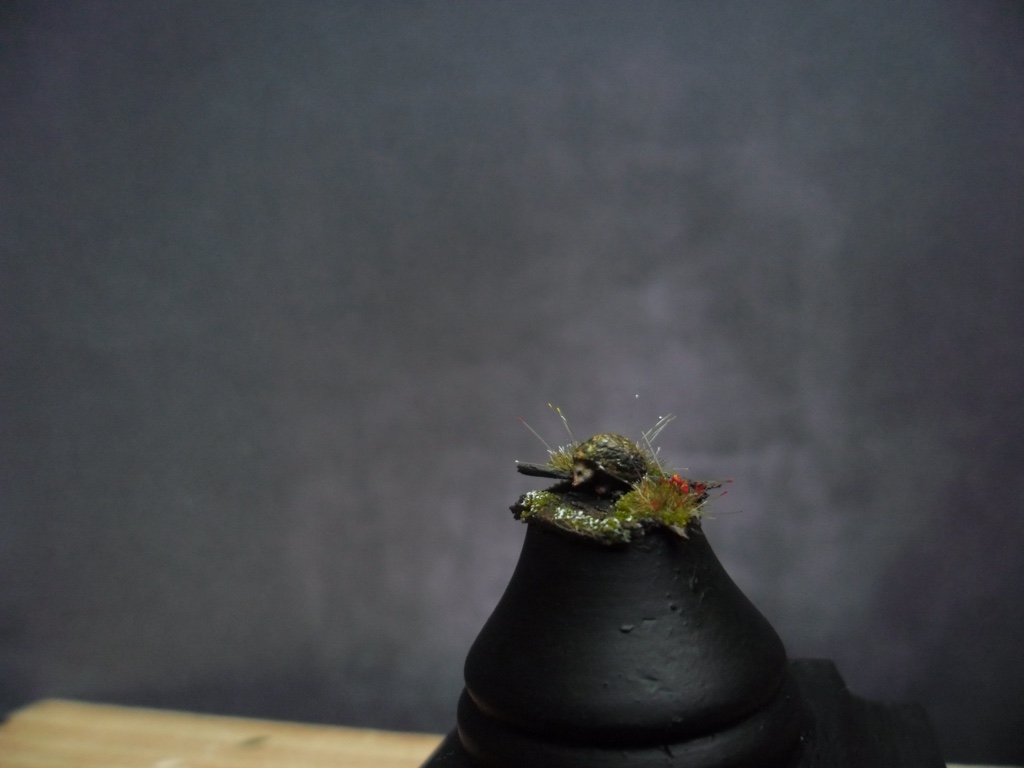 SAM_0059