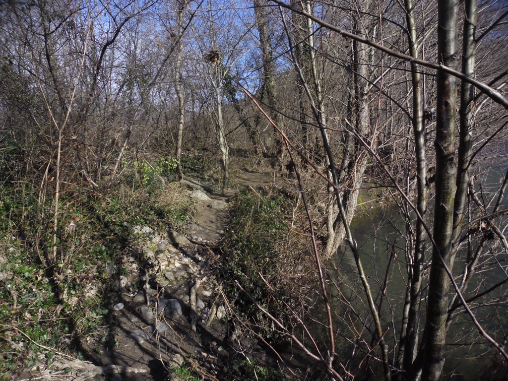 SAM_0095