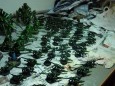SAM_0224