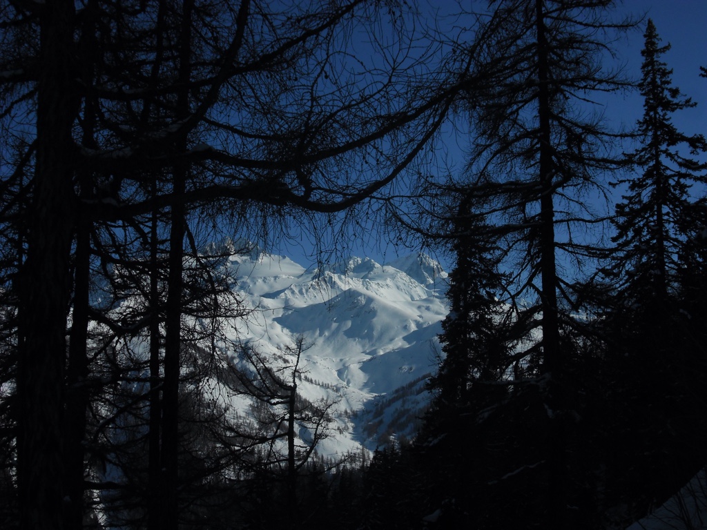 SAM_0572