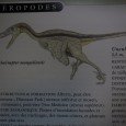 Bonjour à tous, Voici la suite des dinosaures avec la pose des volumes. Les deux sont très enrichissants à faire. Pour ce vélociraptor, une illustration m&rsquo;a donné envie de lui réaliser des plumes. Mais [&hellip;]