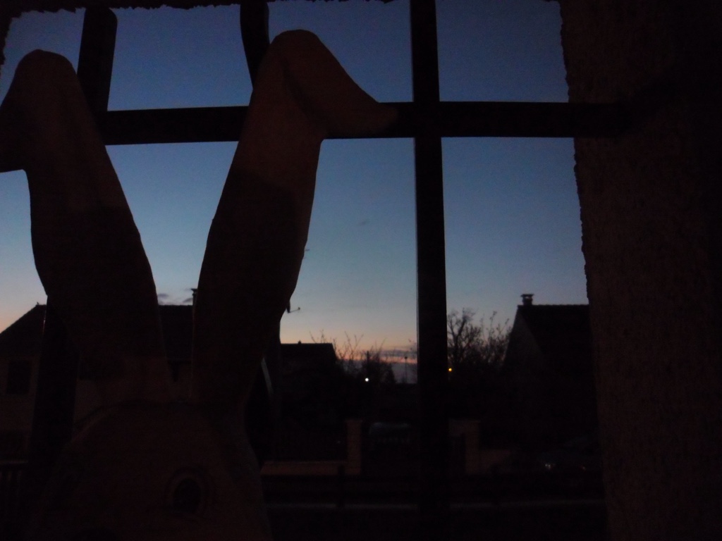 SAM_2155