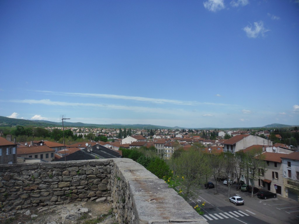 SAM_2251
