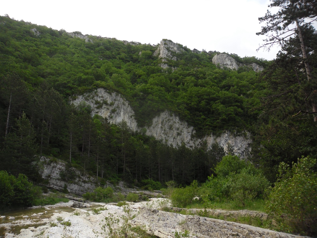 SAM_2430