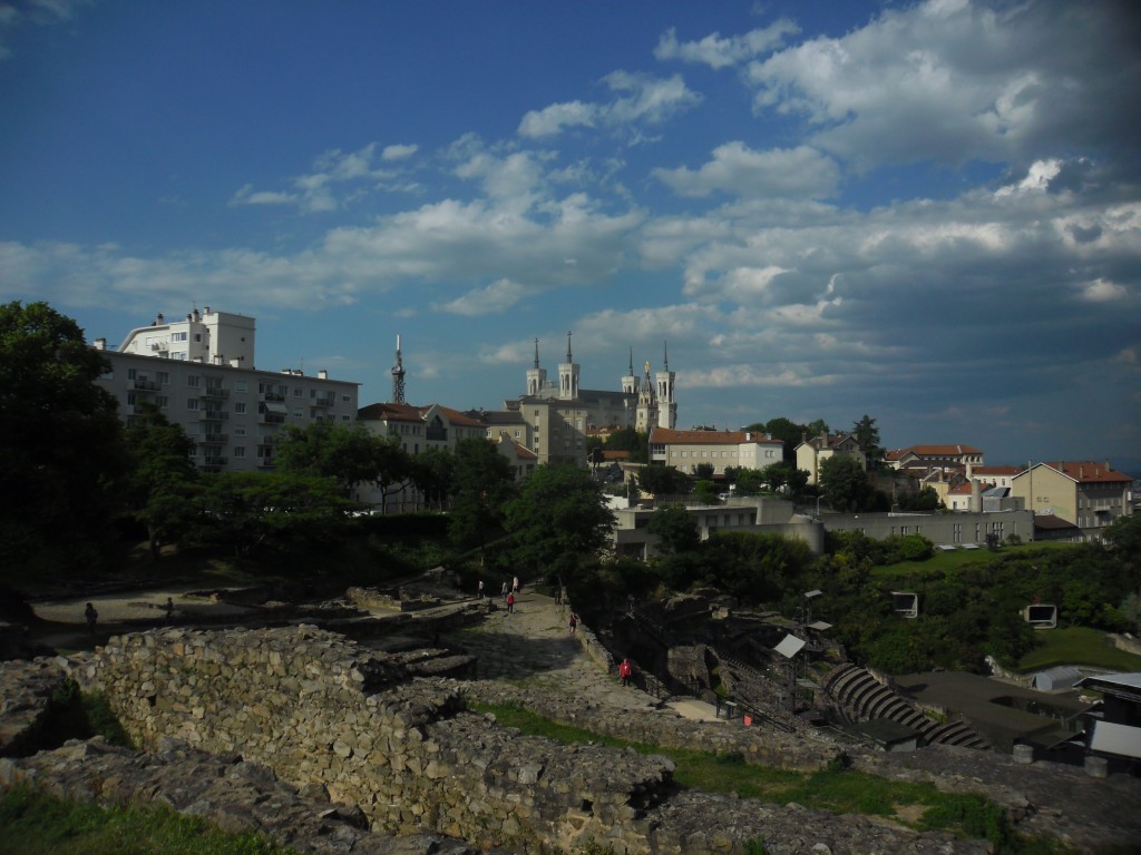 SAM_2596