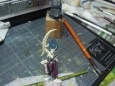 SAM_3438