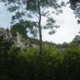 Un Parcours Déçu de ne pas être parvenu à organiser pour l&rsquo;été une vraie et longue excursion, qui demande de s&rsquo;isoler pendant longtemps de tout le confort de l&rsquo;homme, je [&hellip;]