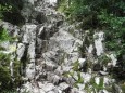 SAM_4675