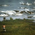Bienvenue dans le nouveau best-of. Une brillante peinture. La galerie du concours 5th Dimension. Ghazghkull Thraka au rapport. Un belle boîte-ki-tue. Un reportage photos sur le Japon. Un beau projet [&hellip;]
