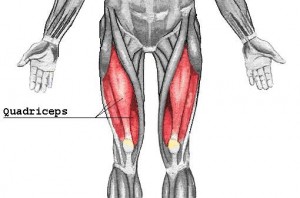 etirer-quadriceps