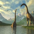 Aujourd&rsquo;hui nous fêtons 1 an en compagnie des dinosaures ! En mai dernier, je me souviens avoir commencé un soir la construction d&rsquo;une armature, avant de la continuer le lendemain [&hellip;]