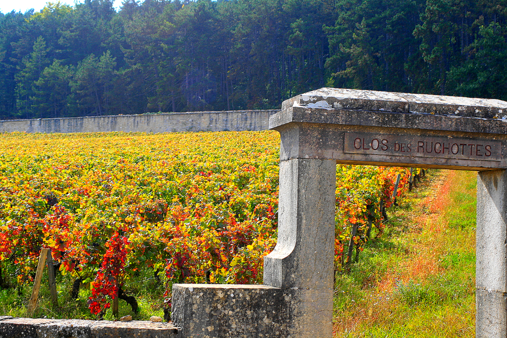 Le vendredi 1er mai se tiendra la 9ème édition du Trail du Tacot ! Cette course de 16km dans la nature se déroule dans les combes au dessus de Gevrey Chambertin. Comme [&hellip;]