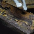 Bonjour les loulous, Alors un peu de peinture pour aujourd&rsquo;hui, avec le début du travail sur le socle de notre félin. Je prend mon temps et essaie d&rsquo;amener en douceur [&hellip;]