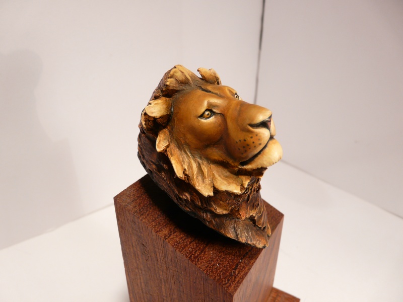 p1040415