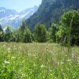 Voici une technique très simple pour représenter à petite échelle des fleurs sur vos socles. L&rsquo;astuce permet d&rsquo;apporter du détail sur des espaces d&rsquo;herbes assez vides, et si le rendu ne n&rsquo;inscrit [&hellip;]