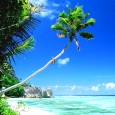 La rubrique Inspiration permet de mettre en ligne des Tutoriels disponibles sur des Forums où l’accès aux images est limité aux membres inscrits. Ainsi nous les partageons (avec bien sûr l’accord [&hellip;]
