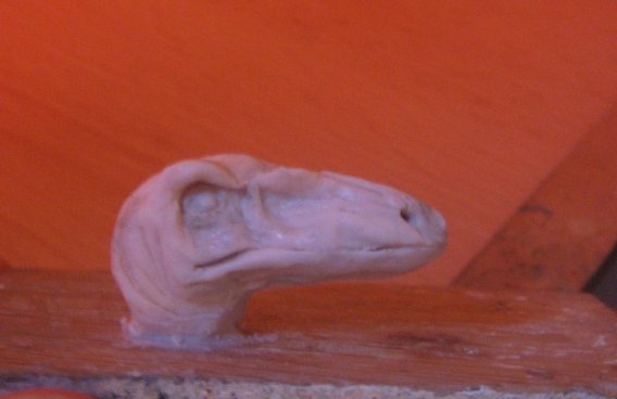 raptor